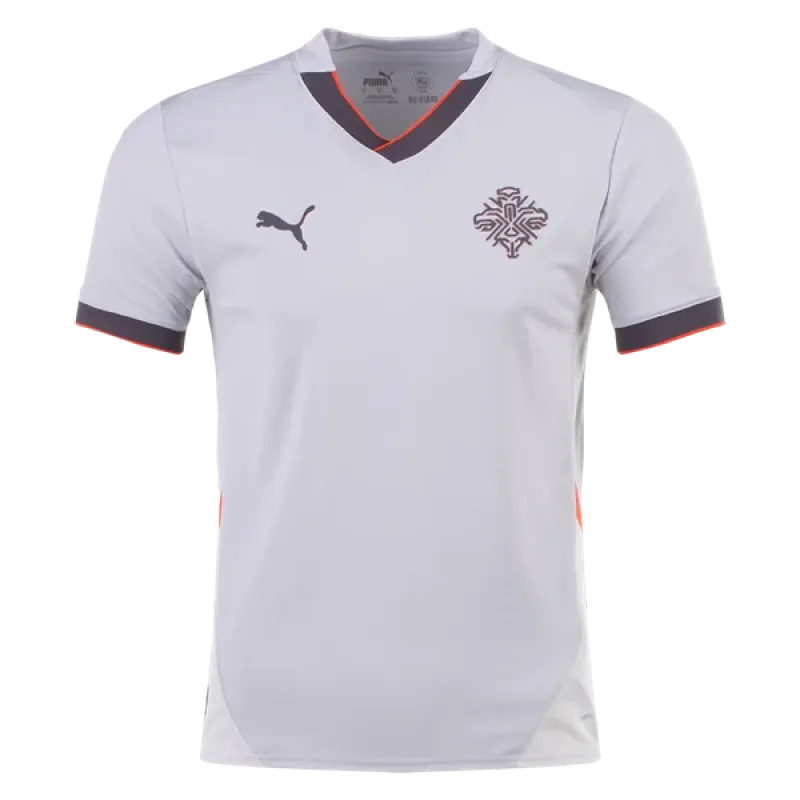 Iceland 24/25 Away Jersey