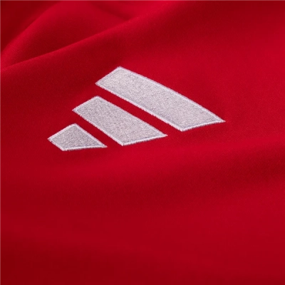 Wales 24/25 Home Jersey 02