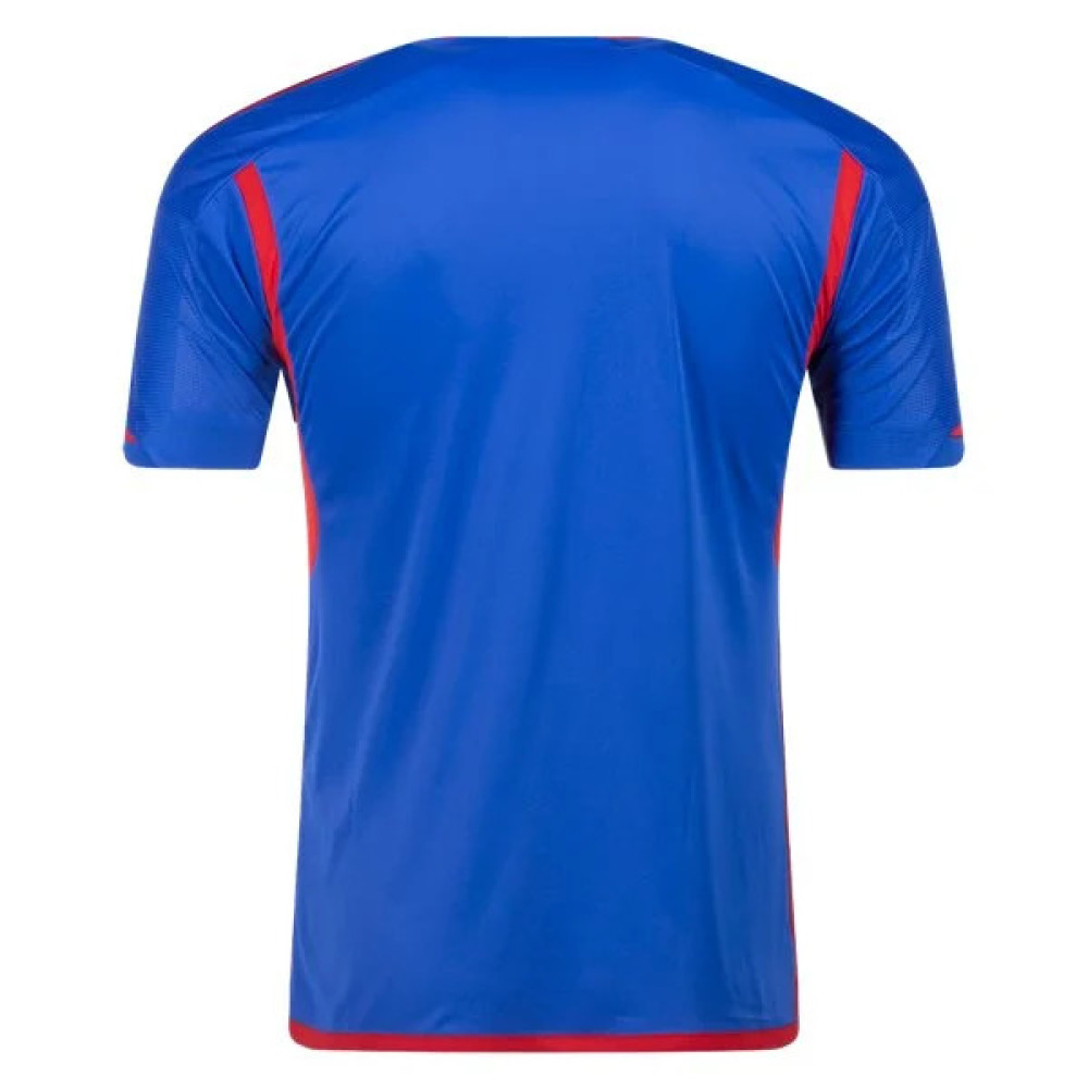 Ligue 1 Men's Replica Lyon Away Jersey 23/24