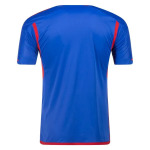 Ligue 1 Men's Replica Lyon Away Jersey 23/24