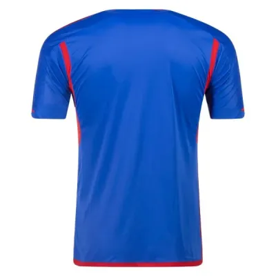 Ligue 1 Men's Replica Lyon Away Jersey 23/24 02