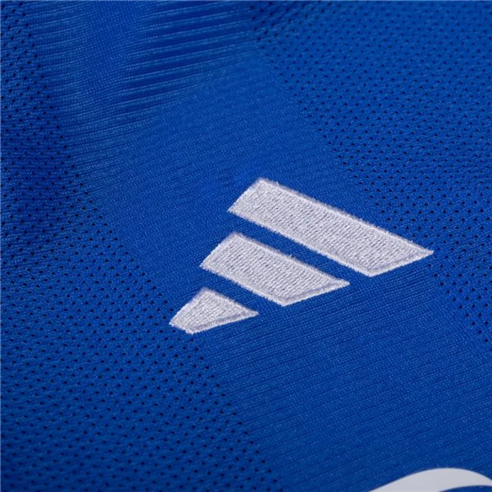 Ligue 1 Men's Replica Lyon Away Jersey 23/24