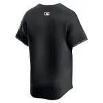 Men's Baltimore Orioles Black City Connect Replica Team Jersey