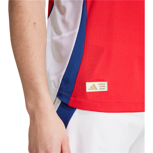 Men's Player Arsenal Home Jersey 24/25