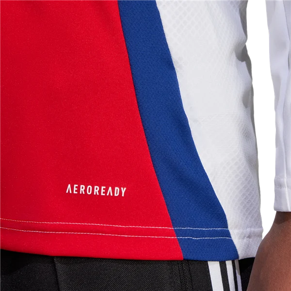 Men's Replica Arsenal Long Sleeve Home Jersey 24/25