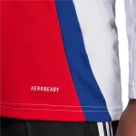 Men's Replica Arsenal Long Sleeve Home Jersey 24/25