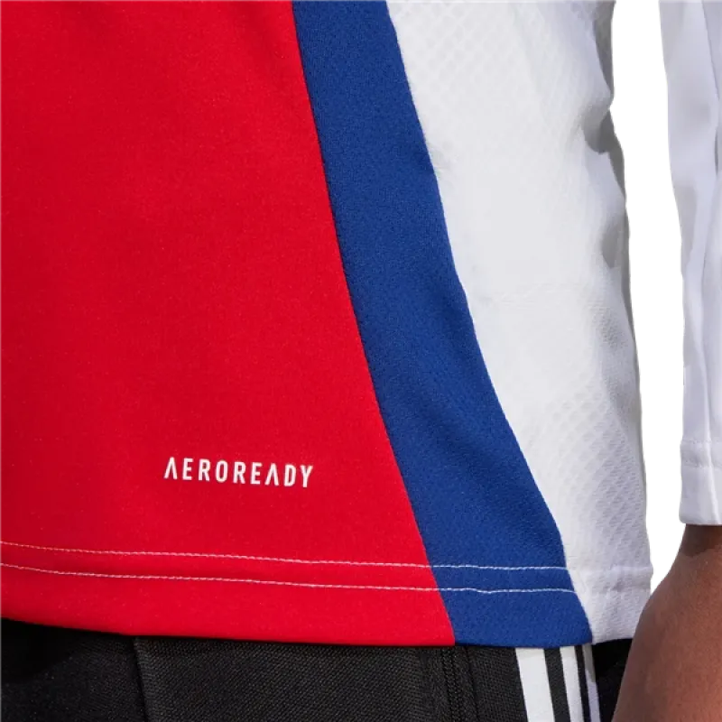 Men's Replica Arsenal Long Sleeve Home Jersey 24/25