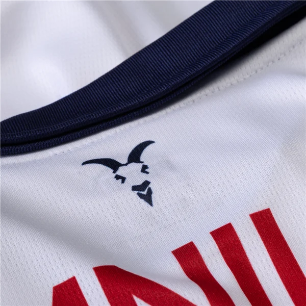 Men's Replica Chivas Away Jersey 24/25