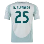 Roberto Alvarado Mexico 24/25 Replica Away Jersey