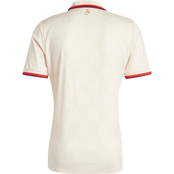 Bayern Munich 24/25 Replica Third Jersey
