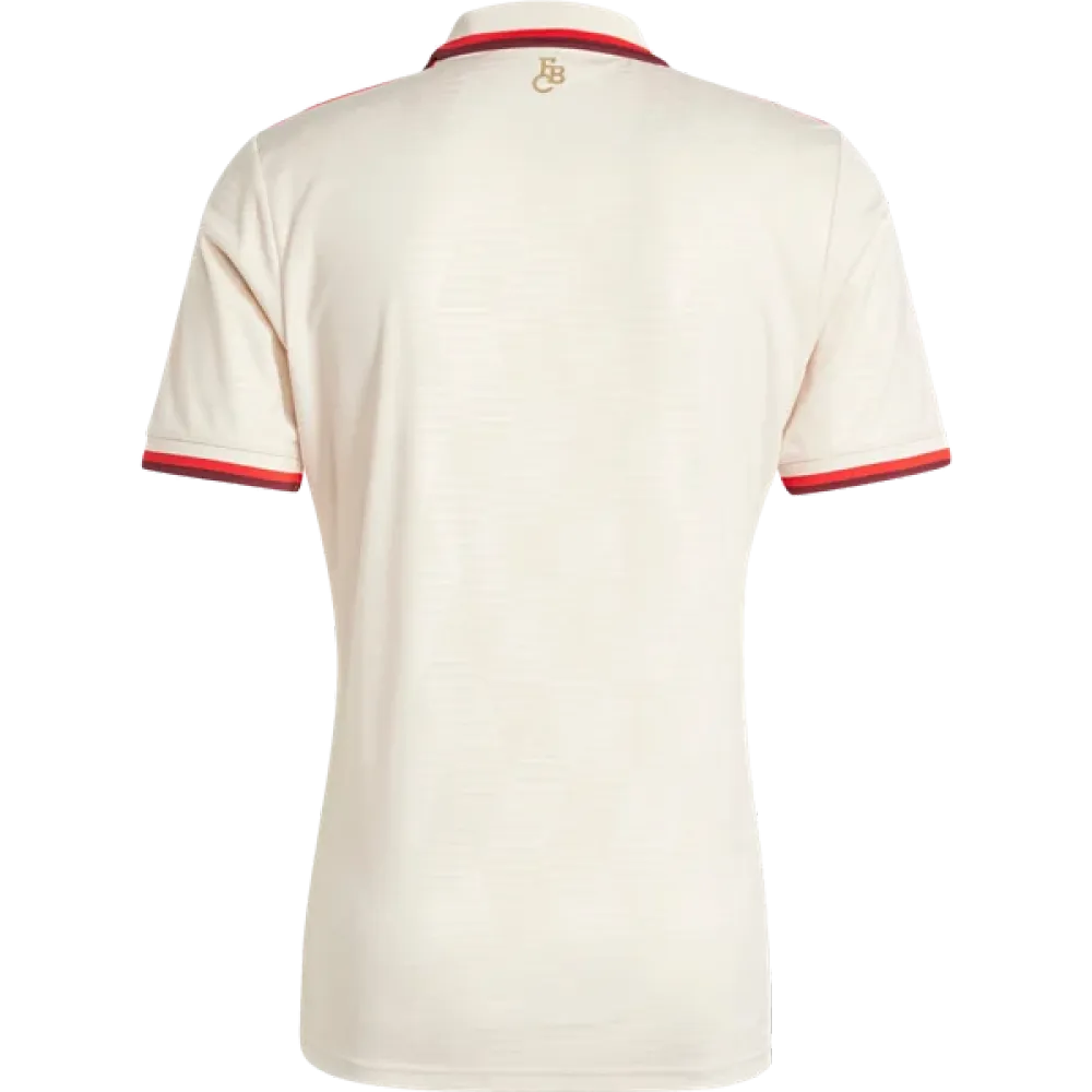 Bayern Munich 24/25 Replica Third Jersey