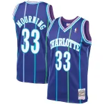 Men's Charlotte Hornets Alonzo Mourning Purple 1994/95 Hardwood Classics Swingman Jersey