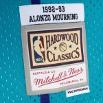 Men's Charlotte Hornets Alonzo Mourning Teal/Purple Hardwood Classics 1992/93 Split Swingman Jersey