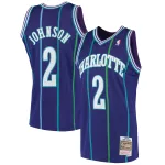 Men's Charlotte Hornets Larry Johnson Purple 1994/95 Hardwood Classics Swingman Jersey