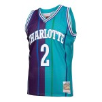 Men's Charlotte Hornets Larry Johnson Teal/Purple Hardwood Classics 1992/93 Split Swingman Jersey
