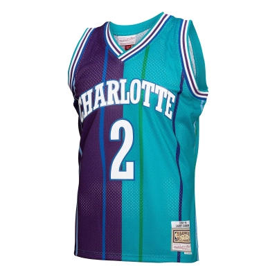 Men's Charlotte Hornets Larry Johnson Teal/Purple Hardwood Classics 1992/93 Split Swingman Jersey 02