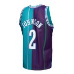 Men's Charlotte Hornets Larry Johnson Teal/Purple Hardwood Classics 1992/93 Split Swingman Jersey
