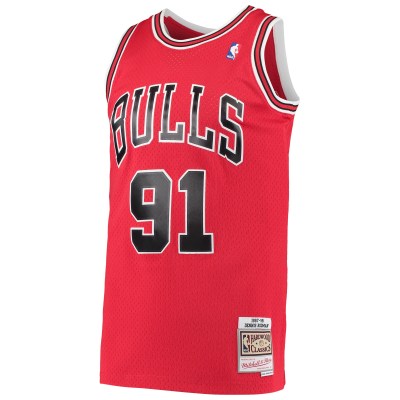 Men's Chicago Bulls Dennis Rodman Red Hardwood Classics Swingman Jersey 02