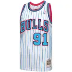 Men's Chicago Bulls Dennis Rodman White 1995-96 Hardwood Classics Reload 3.0 Swingman Jersey