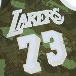 Men's Los Angeles Lakers Dennis Rodman Camo Hardwood Classics 1998/99 Ghost Green Swingman Jersey