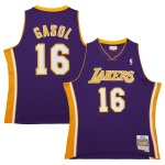 Men's Los Angeles Lakers Pau Gasol Purple 2009/10 Hardwood Classics Swingman Jersey