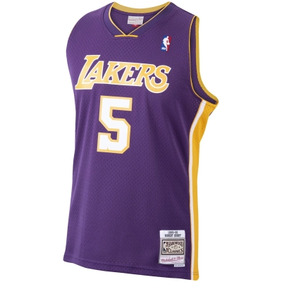 Men's Los Angeles Lakers Robert Horry Purple 1999/00 Hardwood Classics Swingman Jersey 02