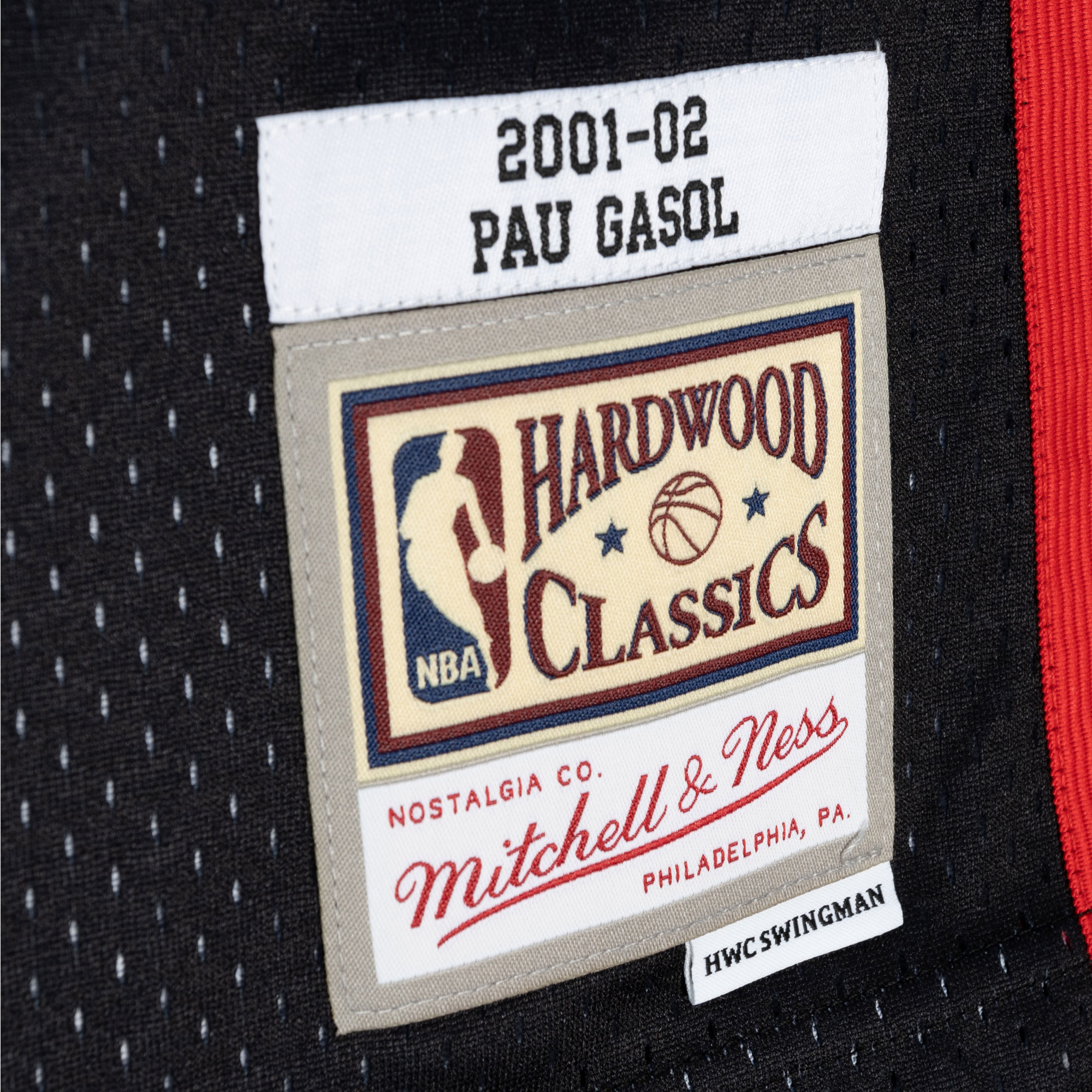 Men's Memphis Grizzlies Pau Gasol Black/Turquoise Hardwood Classics 2001/02 Split Swingman Jersey