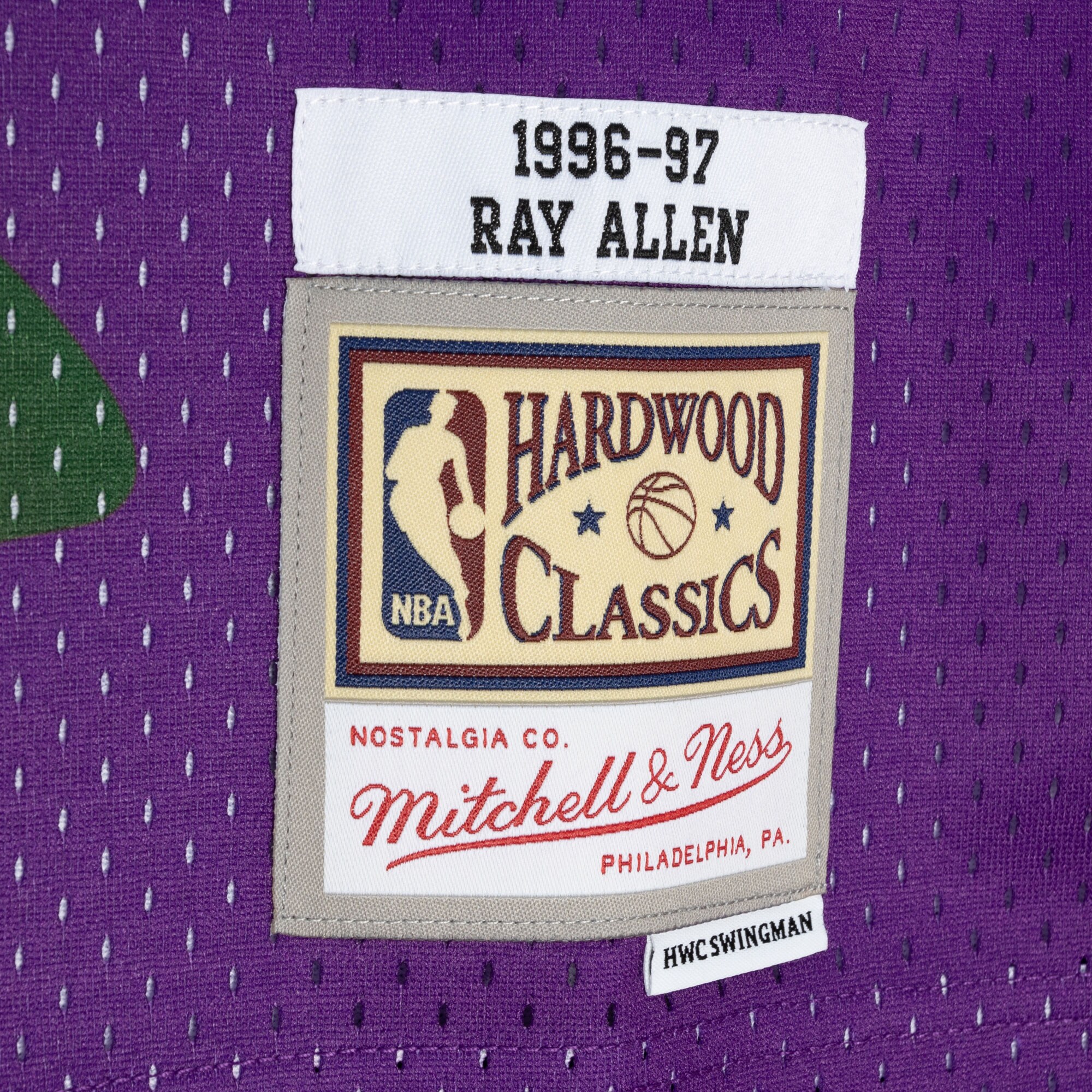 Men's Milwaukee Bucks Ray Allen Green/Purple Hardwood Classics 1996/97 Split Swingman Jersey