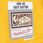Men's Seattle SuperSonics Gary Payton Green/Gold Hardwood Classics 1995/96 Split Swingman Jersey