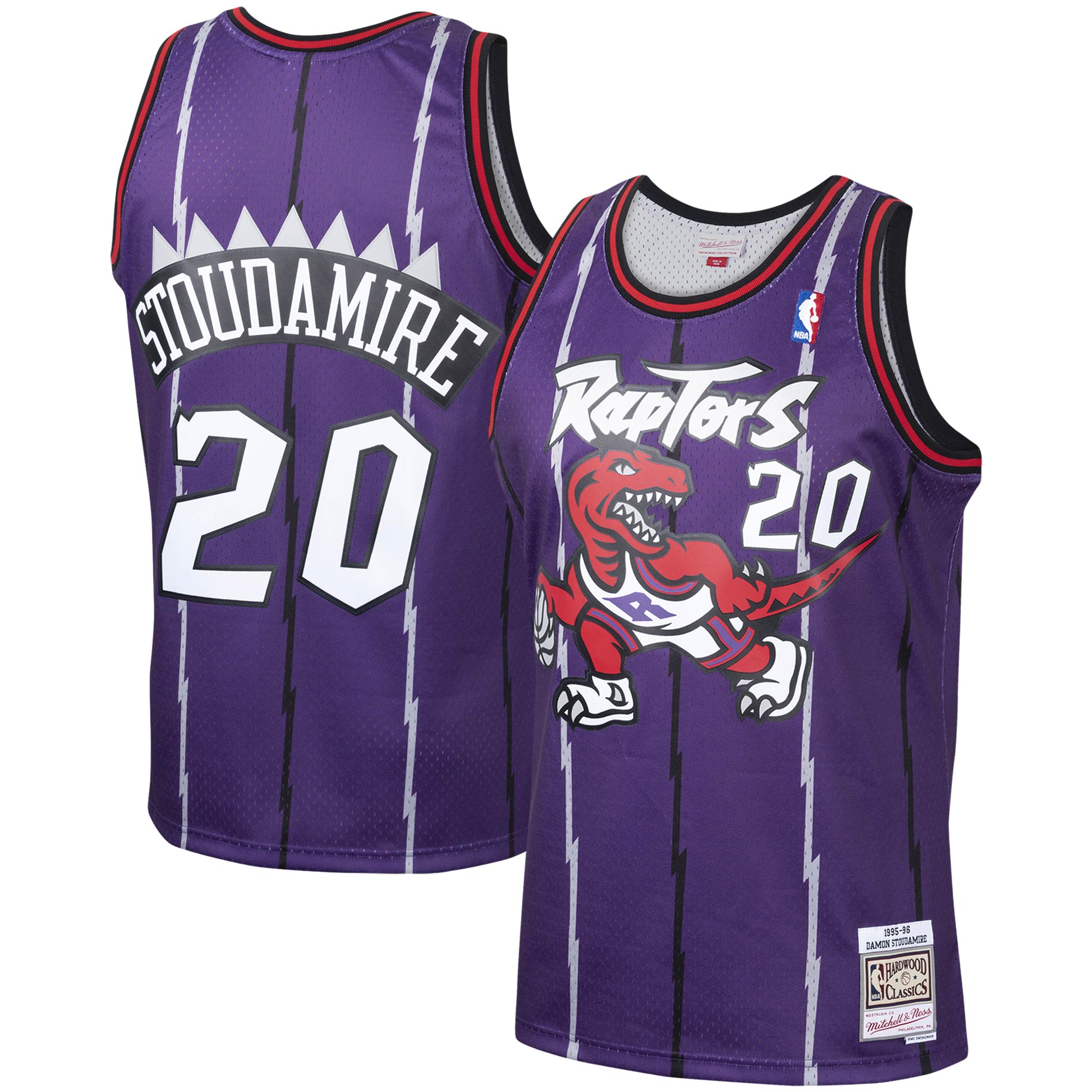 Men's Toronto Raptors Damon Stoudamire Purple 1995/96 Hardwood Classics Swingman Jersey