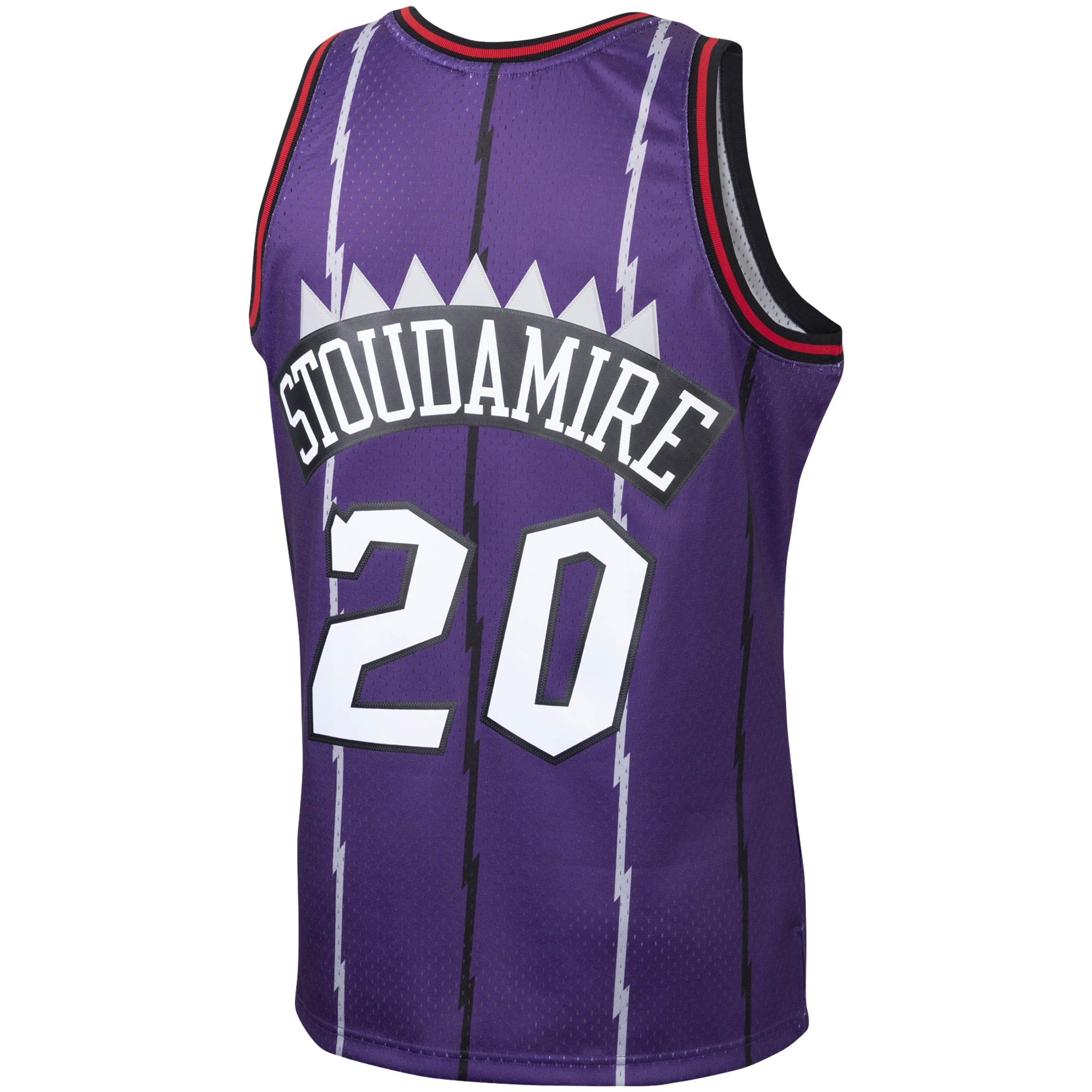 Men's Toronto Raptors Damon Stoudamire Purple 1995/96 Hardwood Classics Swingman Jersey