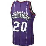 Men's Toronto Raptors Damon Stoudamire Purple 1995/96 Hardwood Classics Swingman Jersey