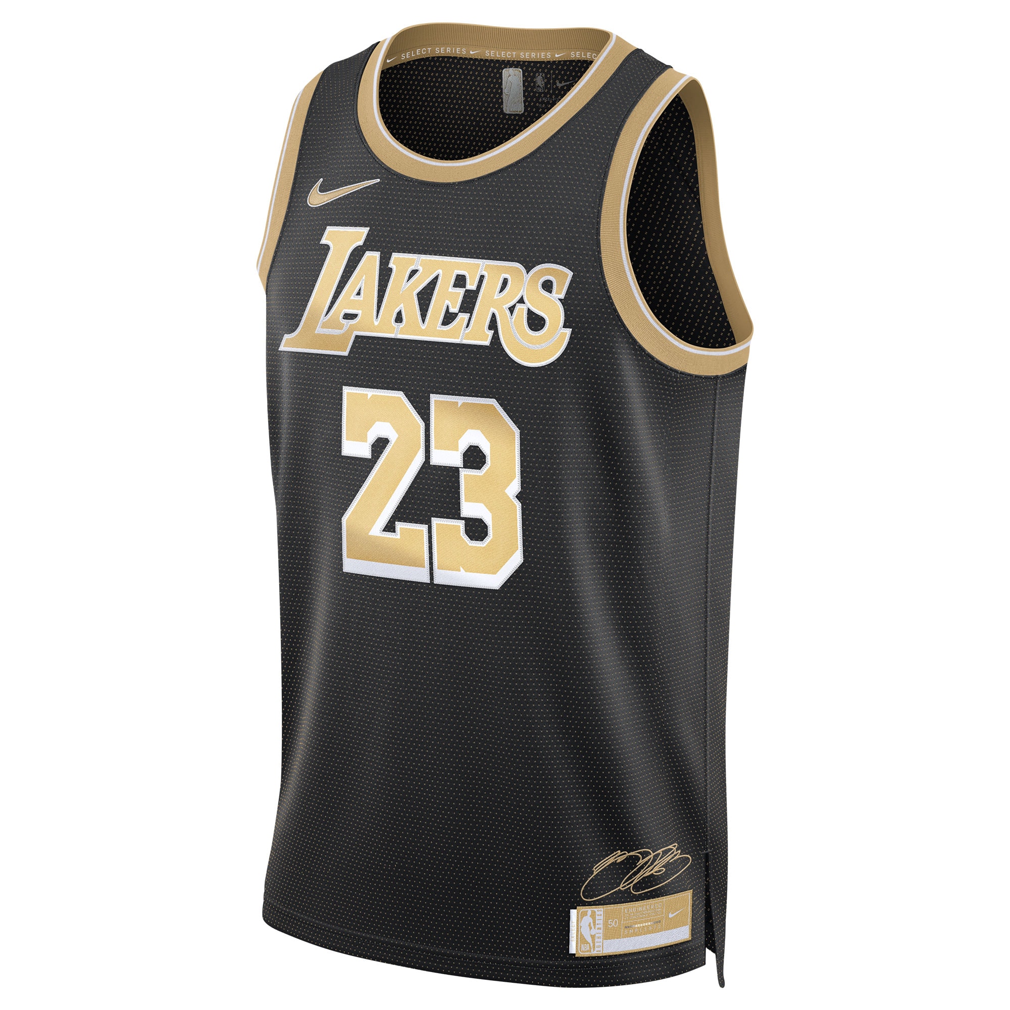 Unisex Los Angeles Lakers LeBron James Black Select Series Swingman Jersey