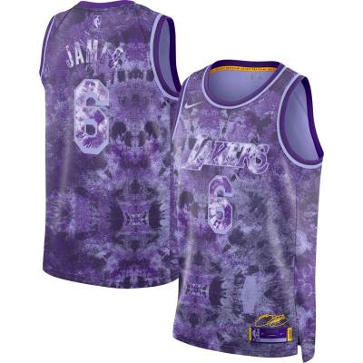 Unisex Los Angeles Lakers LeBron James Purple Select Series Swingman Jersey 01