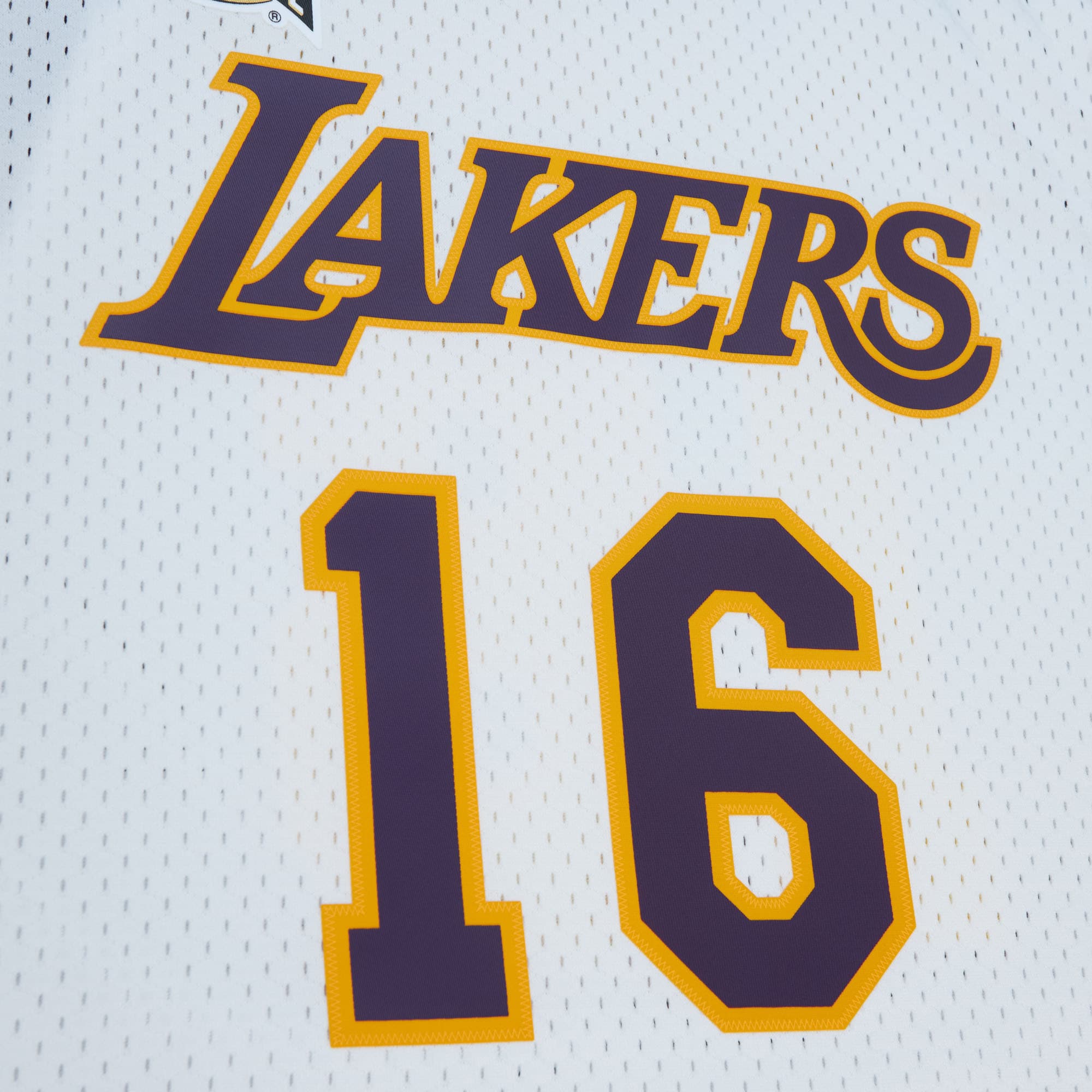 Unisex Los Angeles Lakers Pau Gasol White Hall of Fame Class of 2023 Throwback Swingman Jersey