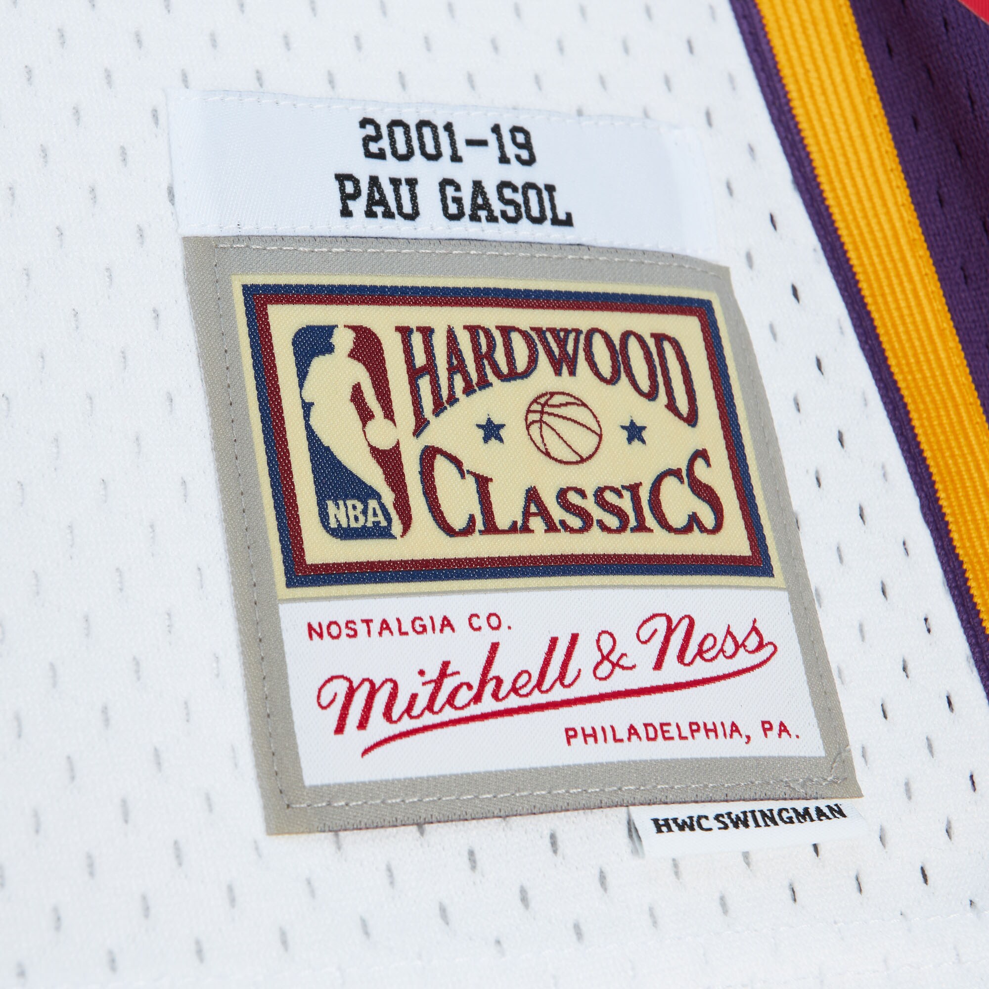 Unisex Los Angeles Lakers Pau Gasol White Hall of Fame Class of 2023 Throwback Swingman Jersey
