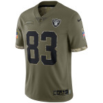 Men's Las Vegas Raiders Olive 2022 Salute To Service Limited Jersey