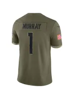 Arizona Cardinals Nike Olive 2022 Salute To Service Limited Edition Jersey-1