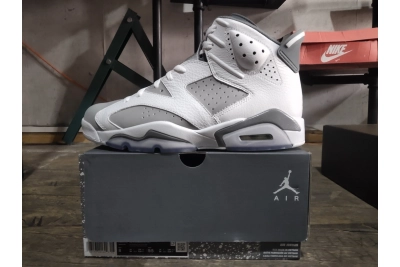 PKGoden  Jordan 6 Retro Cool Grey,  384665-100 02