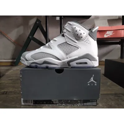 PKGoden  Jordan 6 Retro Cool Grey,  384665-100 02