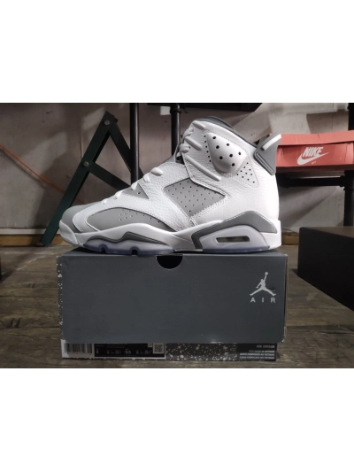PKGoden  Jordan 6 Retro Cool Grey,  384665-100 02