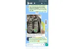 PKGoden  Jordan 11 Retro Cool Grey, CT8012-005