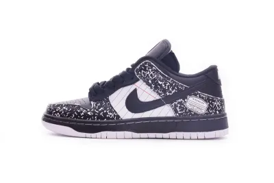 PKGoden  Dunk SB Low Premium book, 327624-001 02
