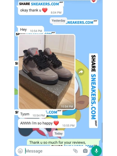 PKGoden Jordan 4 Retro "Taupe Haze", DB0732-200 02