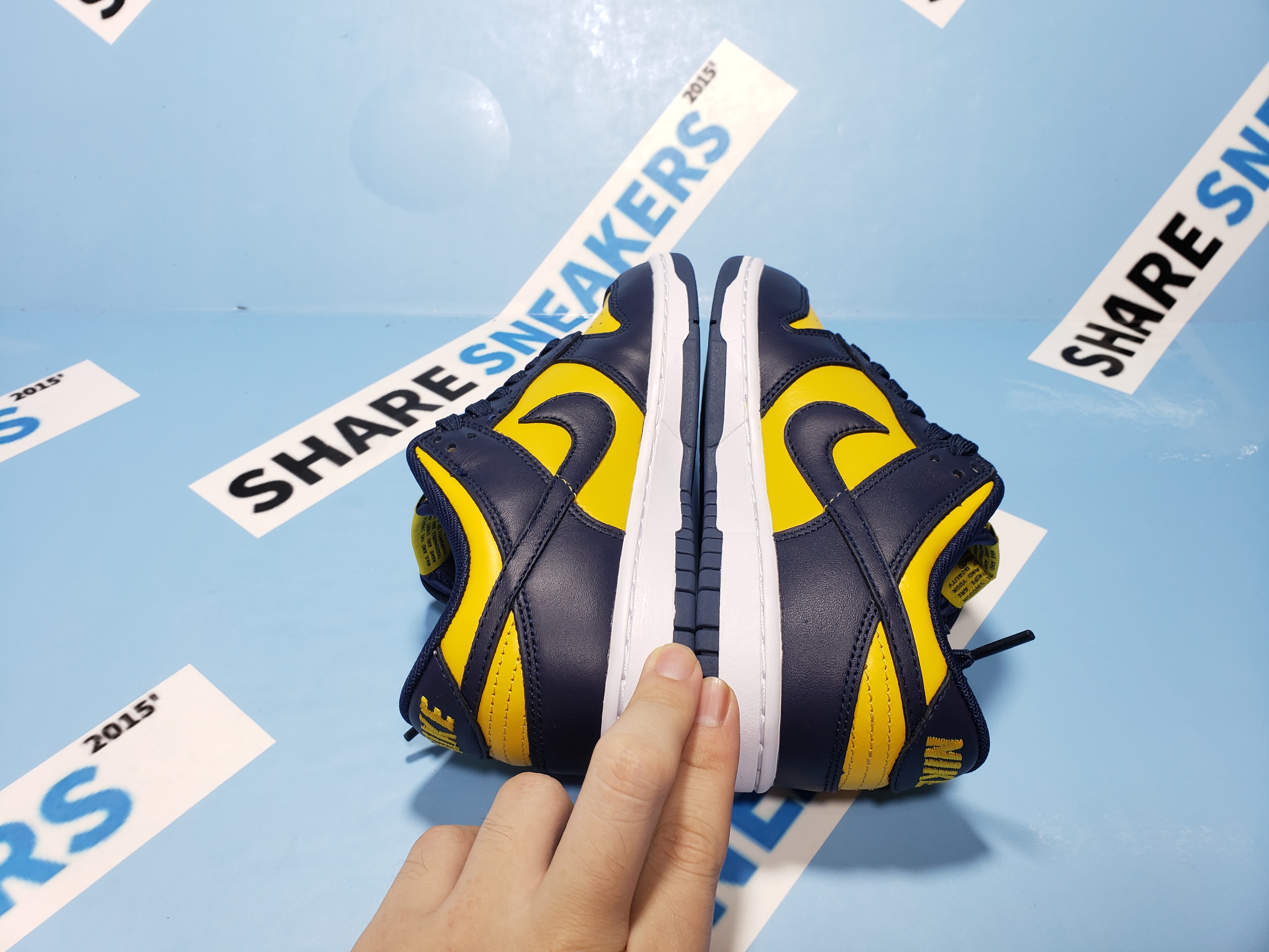 PKGoden  Dunk SB Low Michigan (2021), CW1590-700