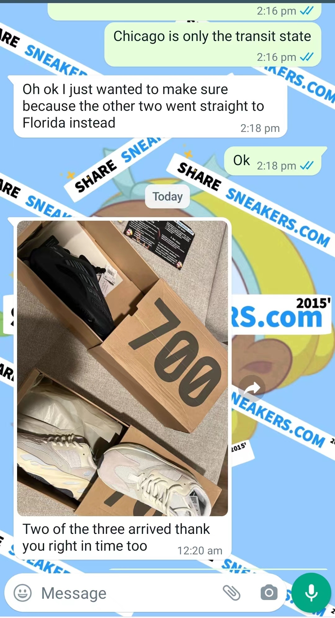 POP  Yeezy Boost 700 Analog,  EG7596