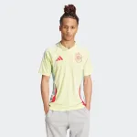 Free Shipping: Soccer Jersey Spain Away Jersey 2024