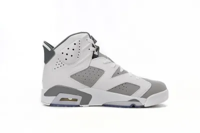 PKGoden Air Jordan 6 Retro Cool Grey, CT8529-100 02