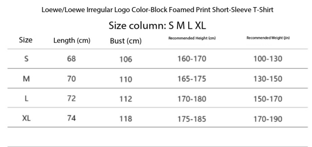 Loewe Unconventional Logo Color-Blocked Foam Printed Short-Sleeve T-Shirt