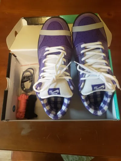 PKGoden Dunk SB Low Concepts Purple Lobster,  BV1310-555 review Gabriel St-Pierre 05